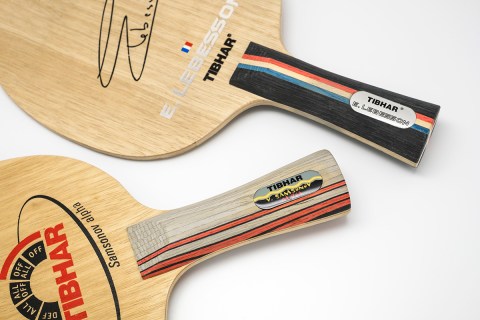 e-lebesson-fig01-corrected