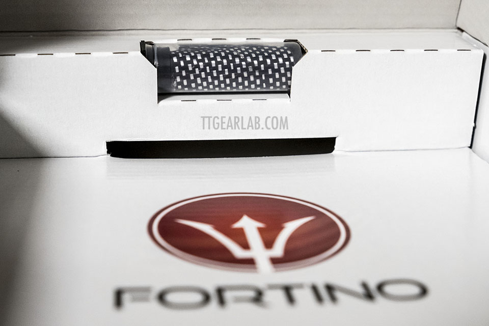 Fortino P and F 01.JPG